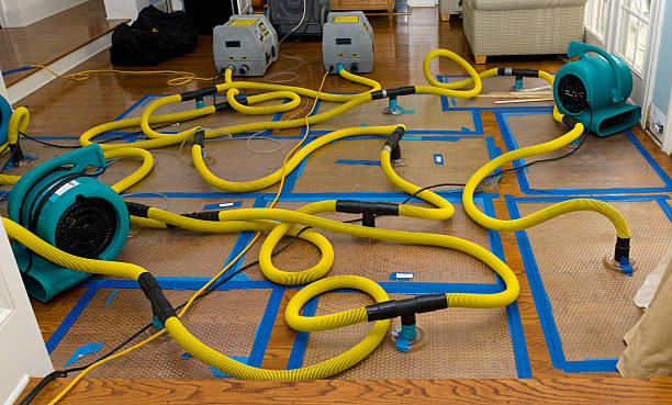 Professional Water Extraction technician working in Vivian, SD